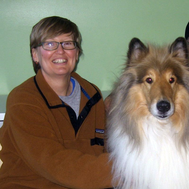 Plucky Puppy's Qualified Dog Trainer: Meredith Wilson